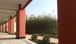 新福园中学最新爆料信息,最新爆料信息曝光，校园风云再起！”